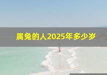 属兔的人2025年多少岁