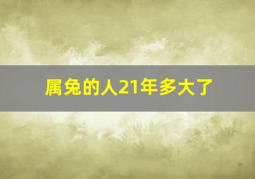 属兔的人21年多大了