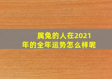 属兔的人在2021年的全年运势怎么样呢