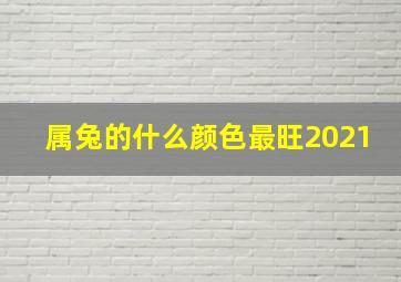 属兔的什么颜色最旺2021