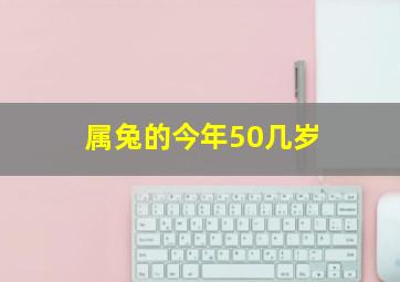 属兔的今年50几岁