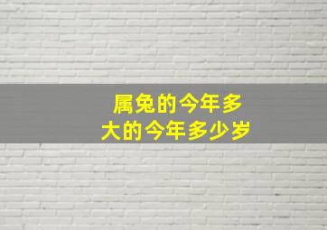 属兔的今年多大的今年多少岁