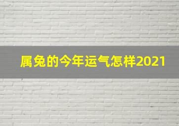 属兔的今年运气怎样2021