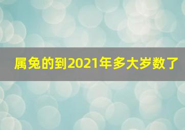 属兔的到2021年多大岁数了