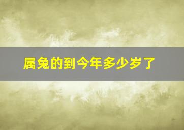 属兔的到今年多少岁了