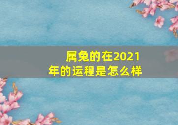 属兔的在2021年的运程是怎么样