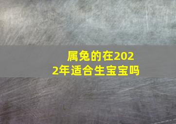 属兔的在2022年适合生宝宝吗