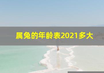 属兔的年龄表2021多大