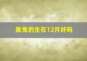 属兔的生在12月好吗