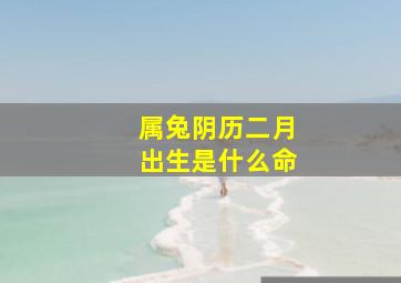 属兔阴历二月出生是什么命