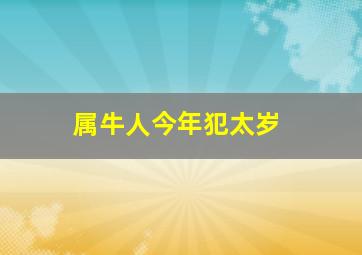 属牛人今年犯太岁