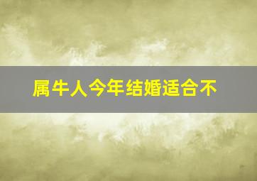 属牛人今年结婚适合不