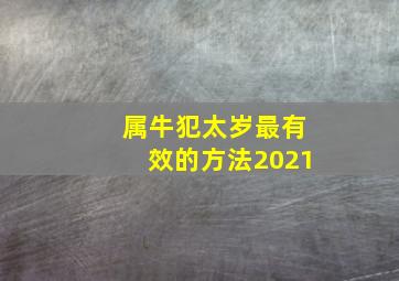 属牛犯太岁最有效的方法2021