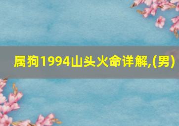 属狗1994山头火命详解,(男)