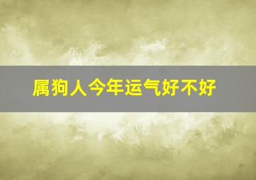 属狗人今年运气好不好