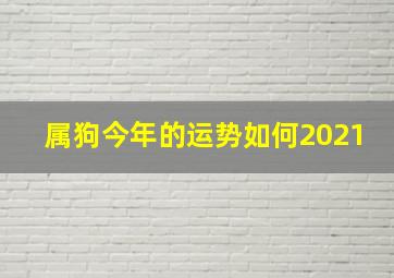 属狗今年的运势如何2021