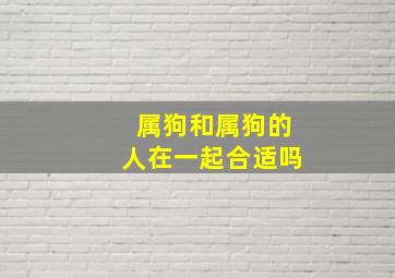 属狗和属狗的人在一起合适吗