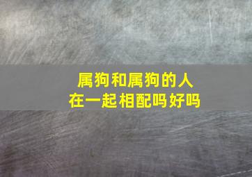 属狗和属狗的人在一起相配吗好吗