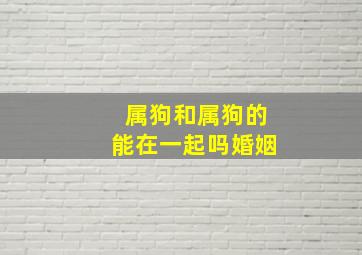 属狗和属狗的能在一起吗婚姻