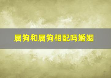 属狗和属狗相配吗婚姻