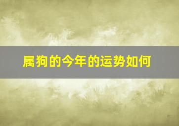 属狗的今年的运势如何