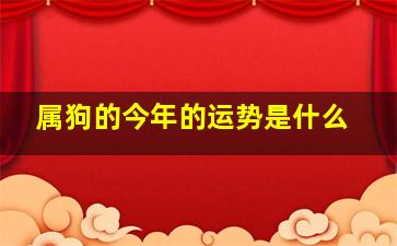 属狗的今年的运势是什么