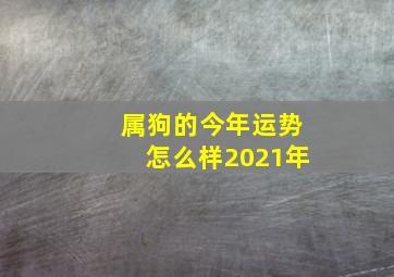 属狗的今年运势怎么样2021年