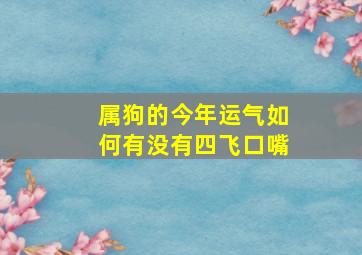 属狗的今年运气如何有没有四飞口嘴