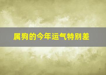 属狗的今年运气特别差