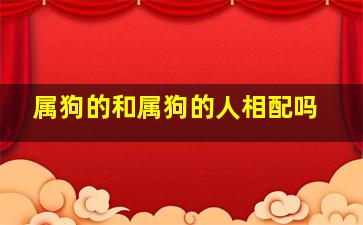 属狗的和属狗的人相配吗