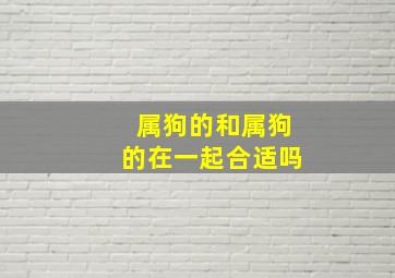 属狗的和属狗的在一起合适吗