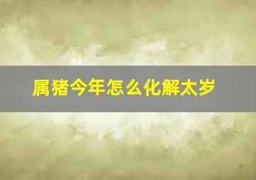 属猪今年怎么化解太岁