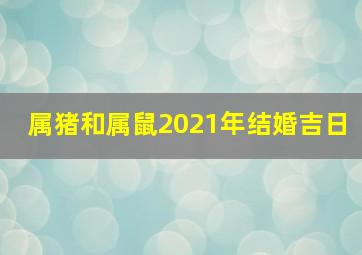 属猪和属鼠2021年结婚吉日