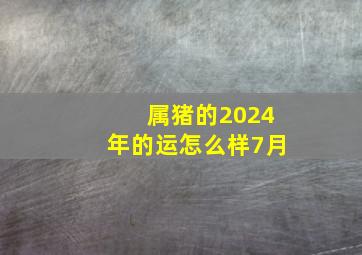 属猪的2024年的运怎么样7月