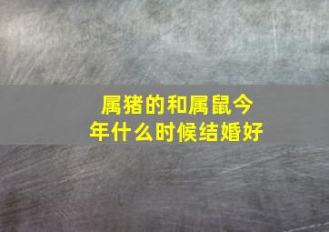 属猪的和属鼠今年什么时候结婚好