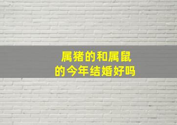 属猪的和属鼠的今年结婚好吗