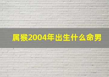 属猴2004年出生什么命男