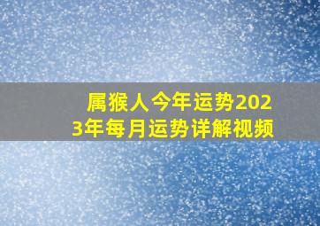 属猴人今年运势2023年每月运势详解视频