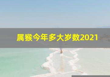 属猴今年多大岁数2021