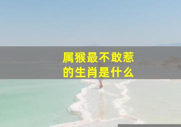 属猴最不敢惹的生肖是什么