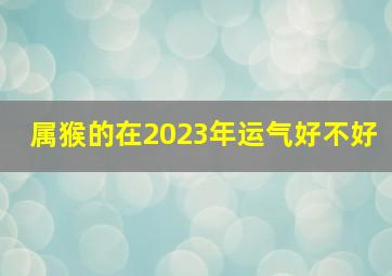 属猴的在2023年运气好不好