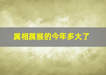 属相属猴的今年多大了