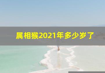 属相猴2021年多少岁了