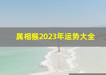 属相猴2023年运势大全