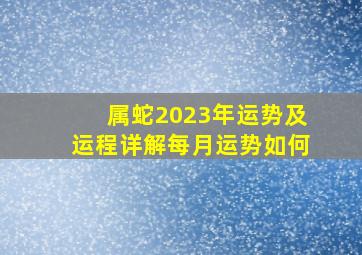 属蛇2023年运势及运程详解每月运势如何