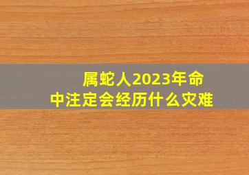 属蛇人2023年命中注定会经历什么灾难