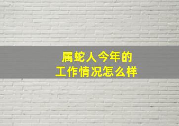 属蛇人今年的工作情况怎么样