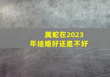 属蛇在2023年结婚好还是不好