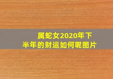 属蛇女2020年下半年的财运如何呢图片