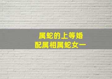 属蛇的上等婚配属相属蛇女一